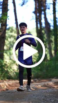 BIB:  <button type="button" onclick="openModal(26787893)" class="btn btn-primary btn-sm float-right" data-toggle="modal" data-target=".modal-high-quality">
                <i class="fa fa-download"></i> Download
                </button>